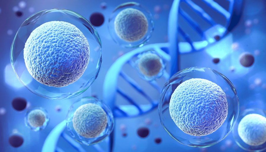 Las enfermedades que sobresalen en el ámbito de la medicina genómica son las oncológicas y hereditarias; adicionalmente, existen avances importantes en el campo de la fármaco-genómica.
